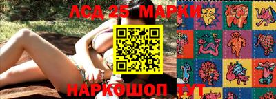 гашик Нальчик