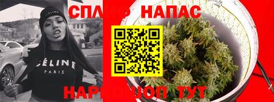 гашик Нальчик