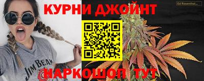 гашик Нальчик