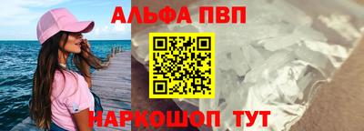 гашик Нальчик