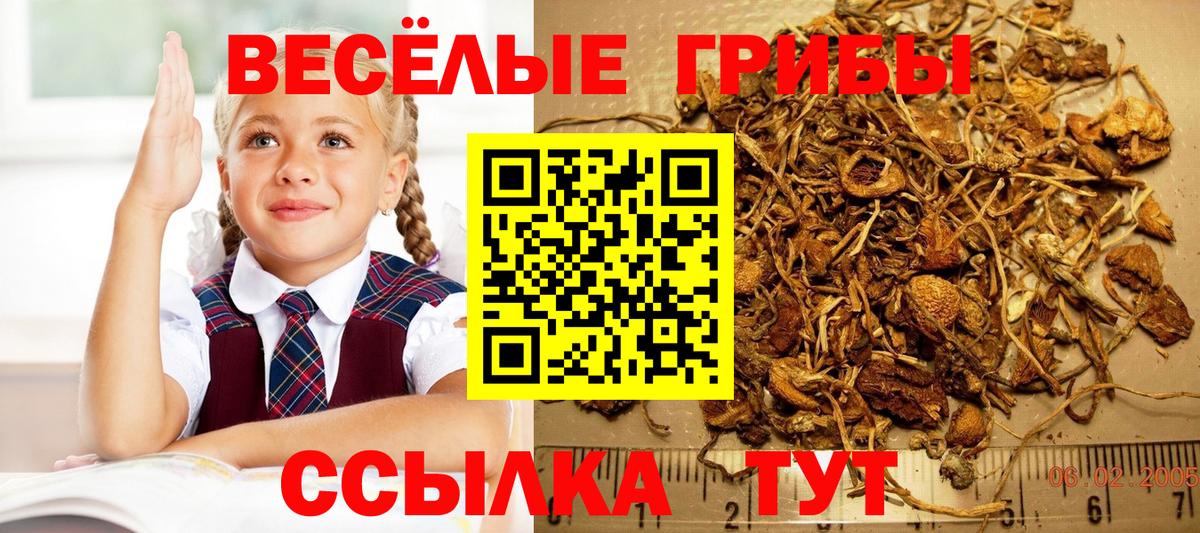 Псилоцибиновые грибы MAGIC MUSHROOMS  Псилоцибиновые грибы Magic Shrooms  Вход с VPN  Сыктывкар 